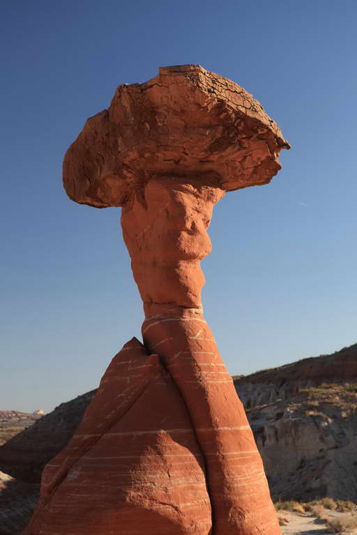 Toadstool Hoodoo
